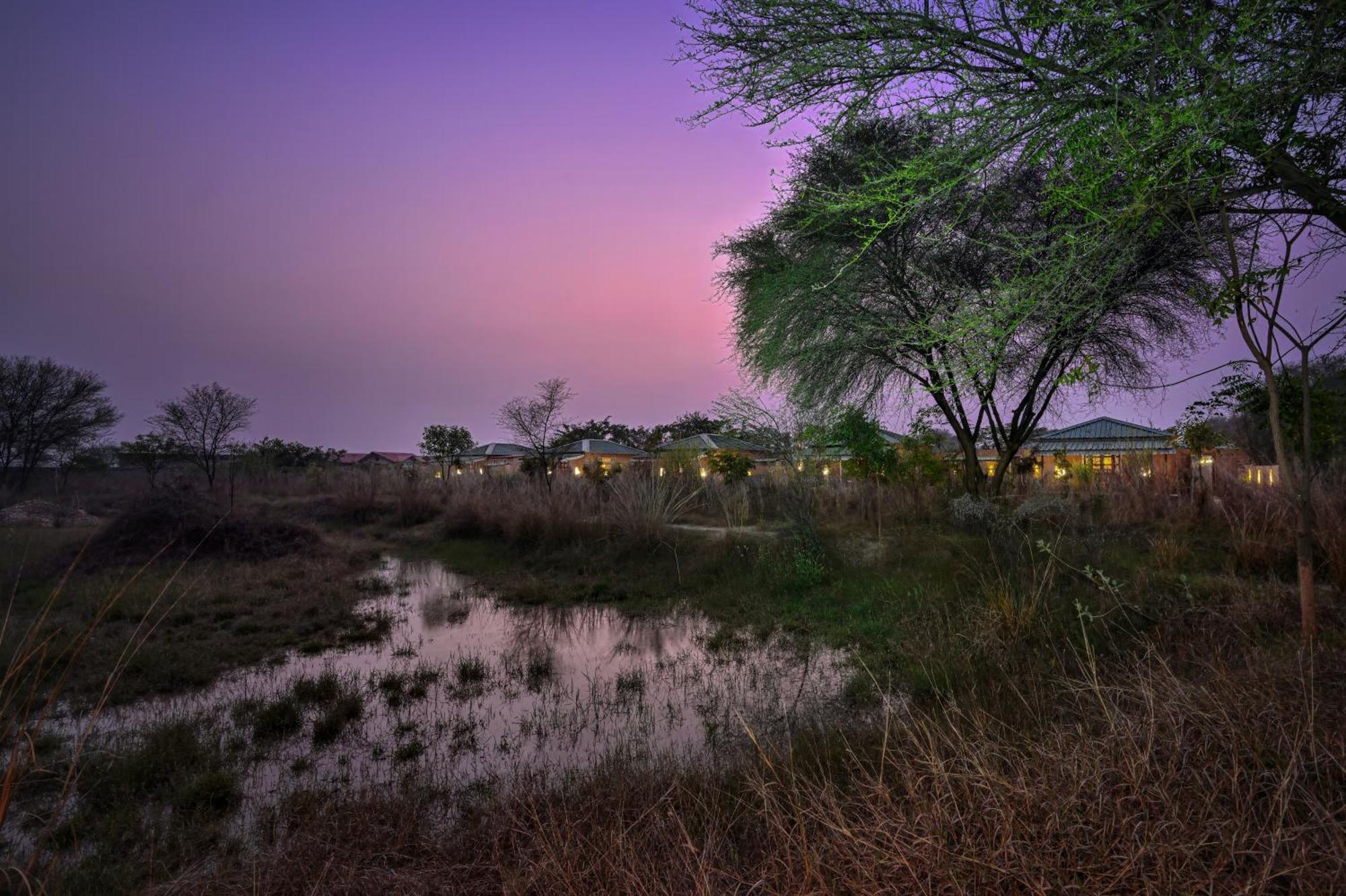 Bagh Serai - Rustic Cottage With Private Pool Sawai Madhopur Dış mekan fotoğraf
