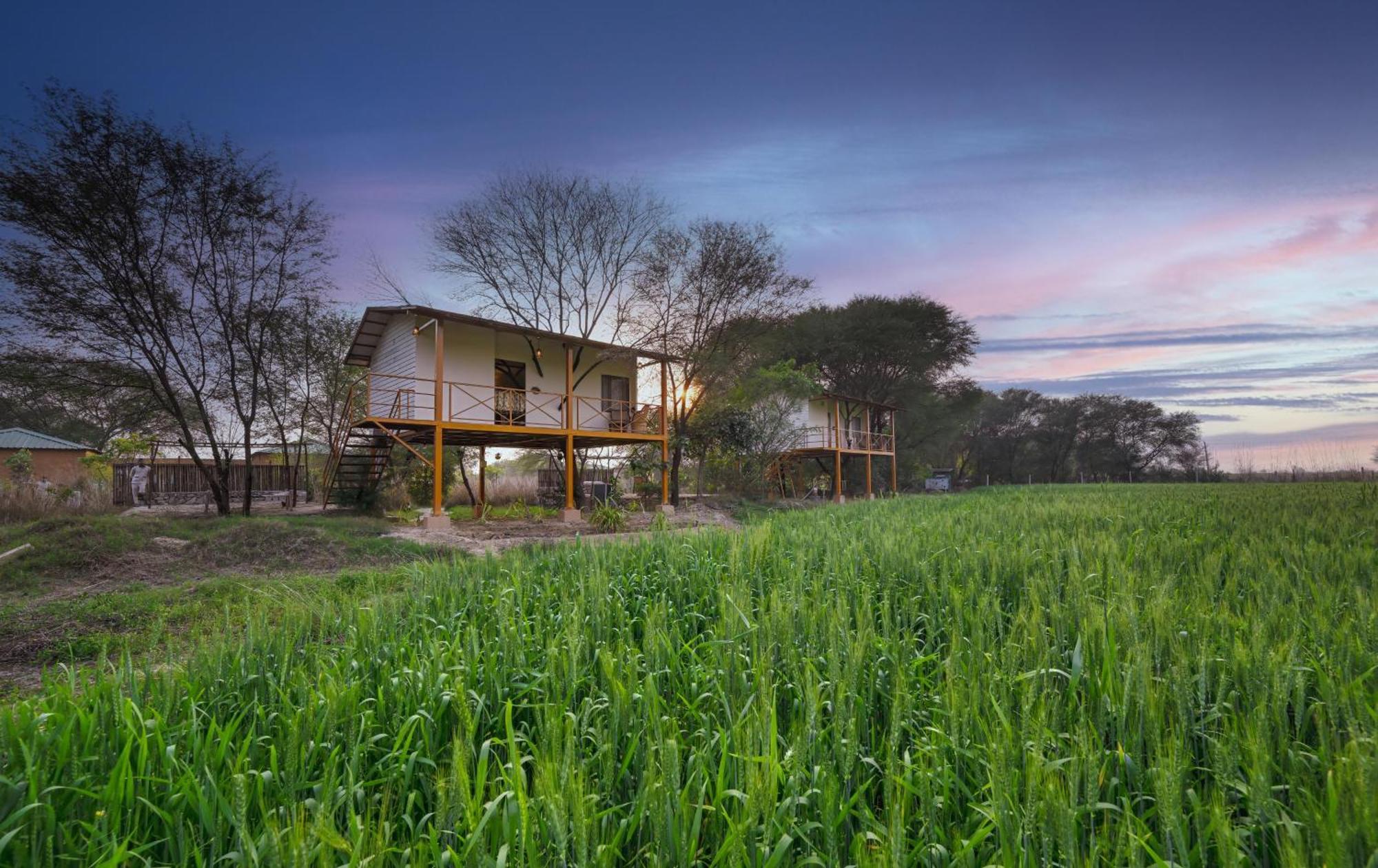Bagh Serai - Rustic Cottage With Private Pool Sawai Madhopur Dış mekan fotoğraf